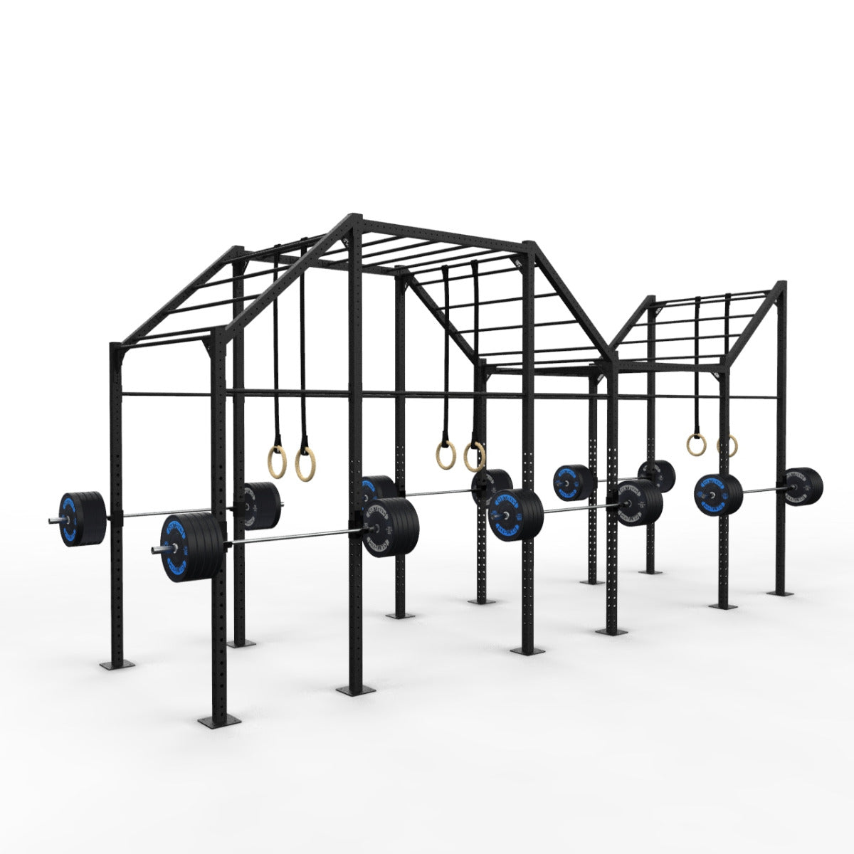 24' Freestanding Builder® Pull Up Rig: Expert 1