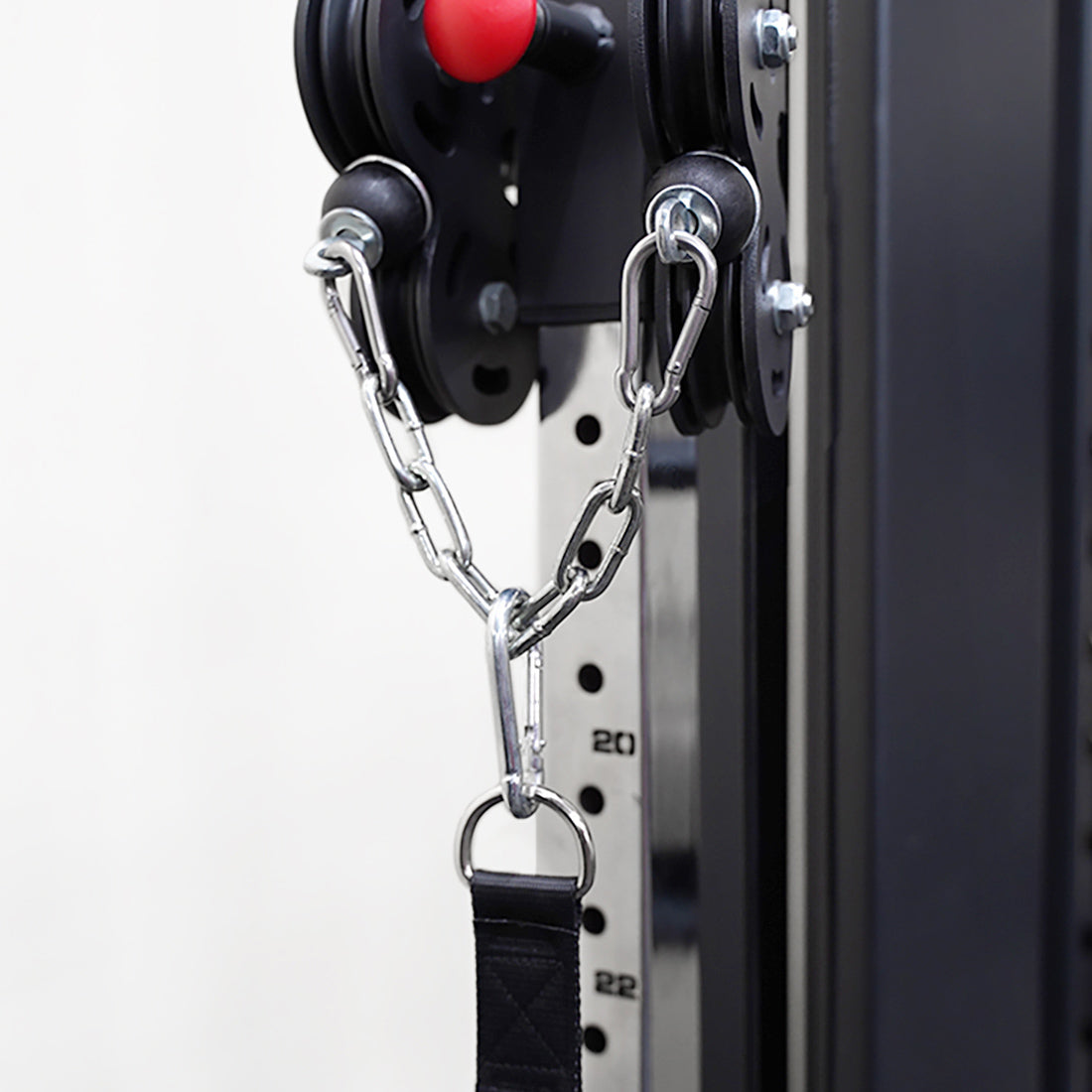 Functional Trainer Plate-Loaded Cable Tower?2000