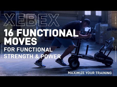 Xebex Fitness XT4 Sled
