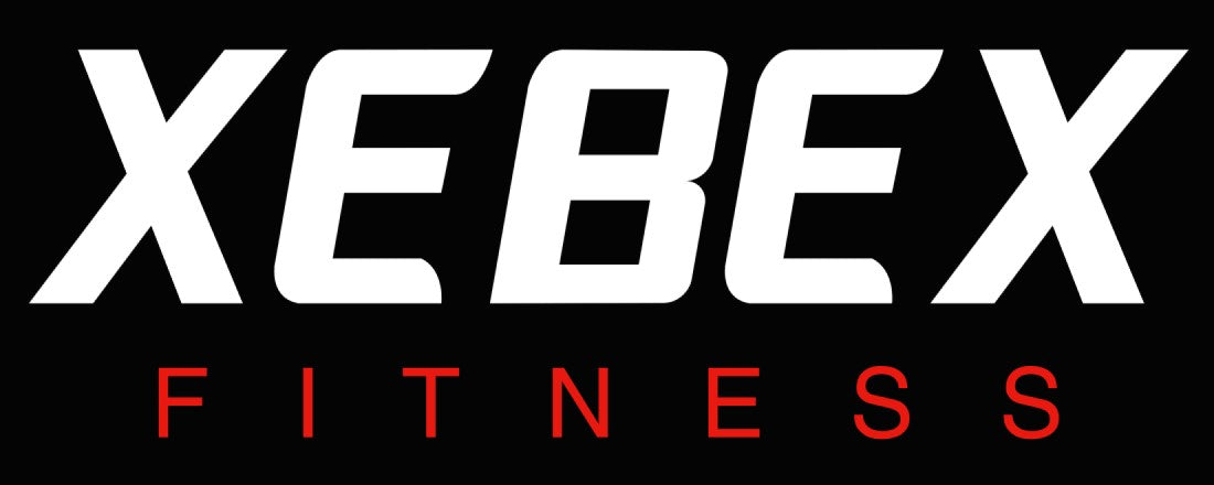 Large XEBEX Logo Banner (XEBEX-Large)