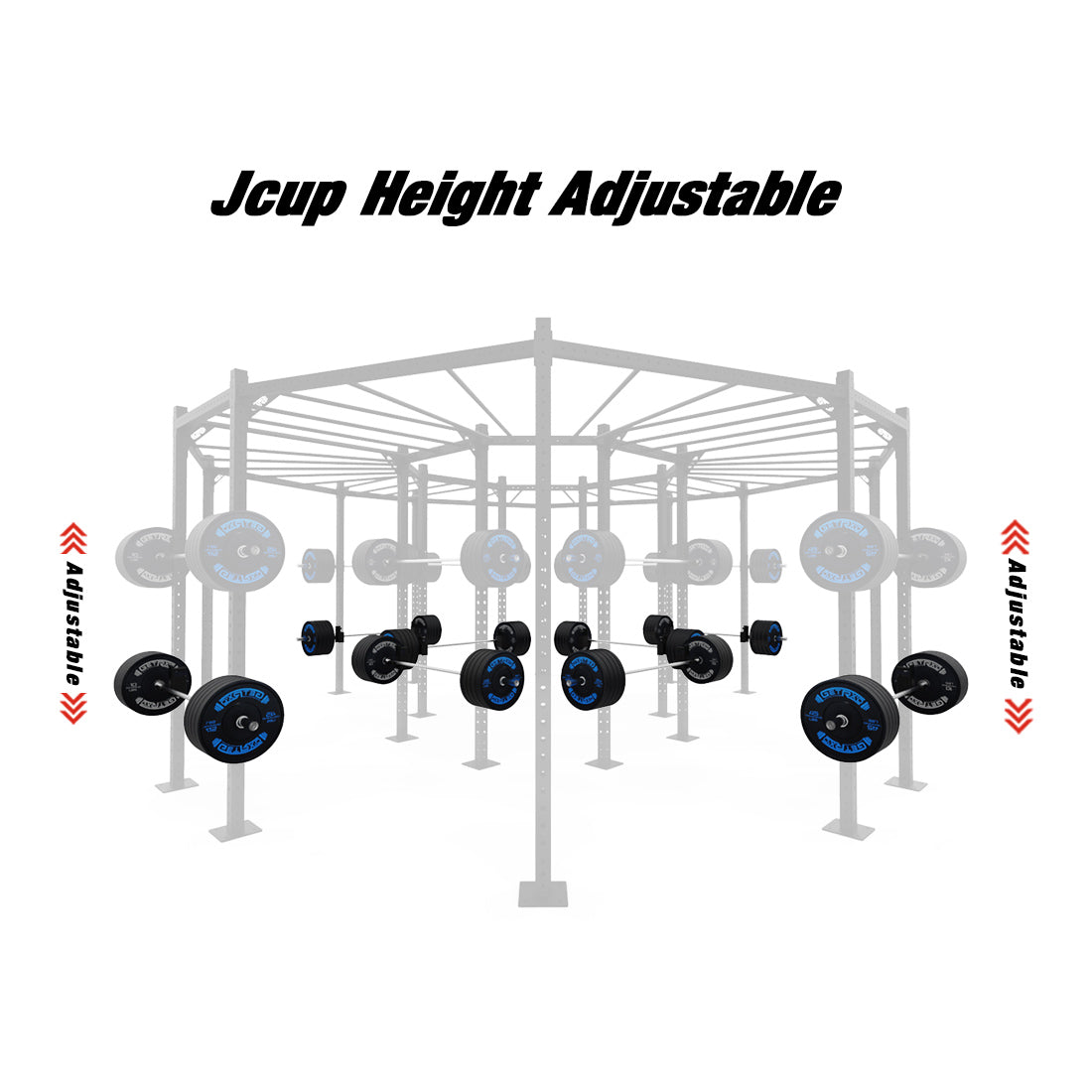 Circular rig - Basic  jcup height adjustable