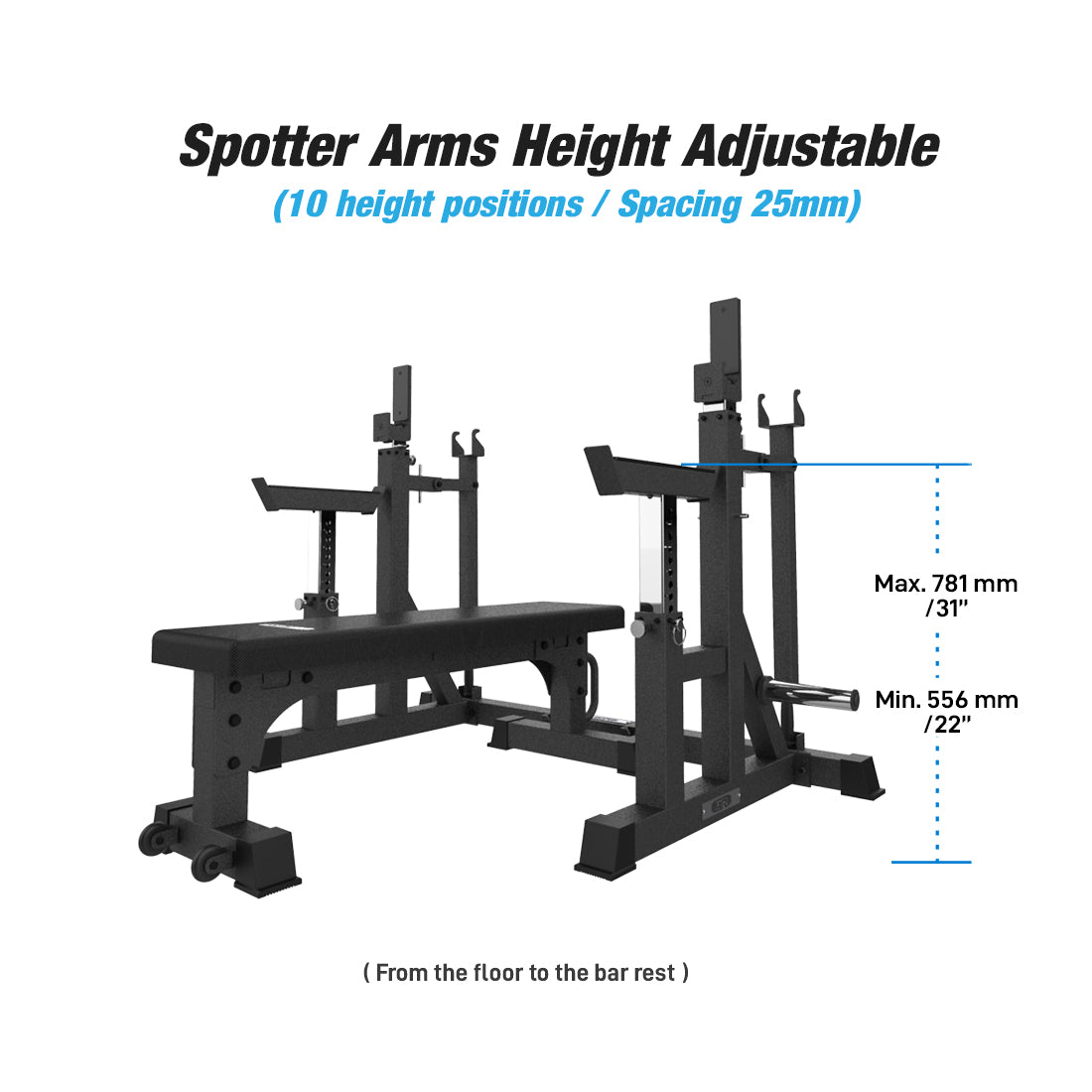 spotter arms height adjustable
