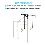 10' Wall Mount Builder® Rig: Advanced 1 w/ 2' Monkey Bar Spacing
