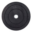 10LB Premium Bumper Plate 2.0