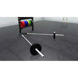 Bars, plates, dumbbells, kettlebells, and other accessories sold separately.