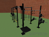 Step Up Platform, Plate Sleeves, and Multi-Heigh Pull Up Bars (Back Left View)