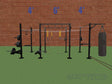 14' Functional Training Rig (Front View)