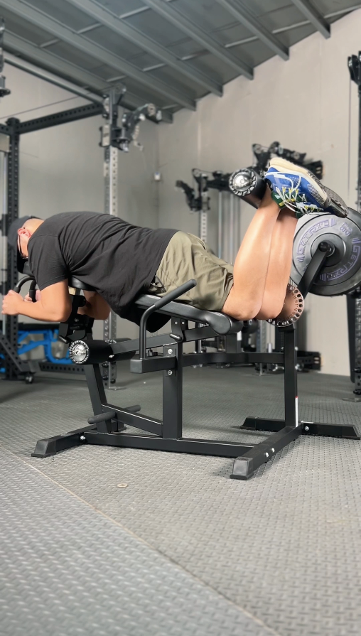 Lying Leg Curls