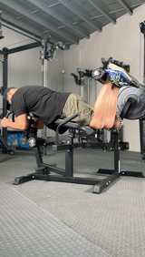 Lying Leg Curls