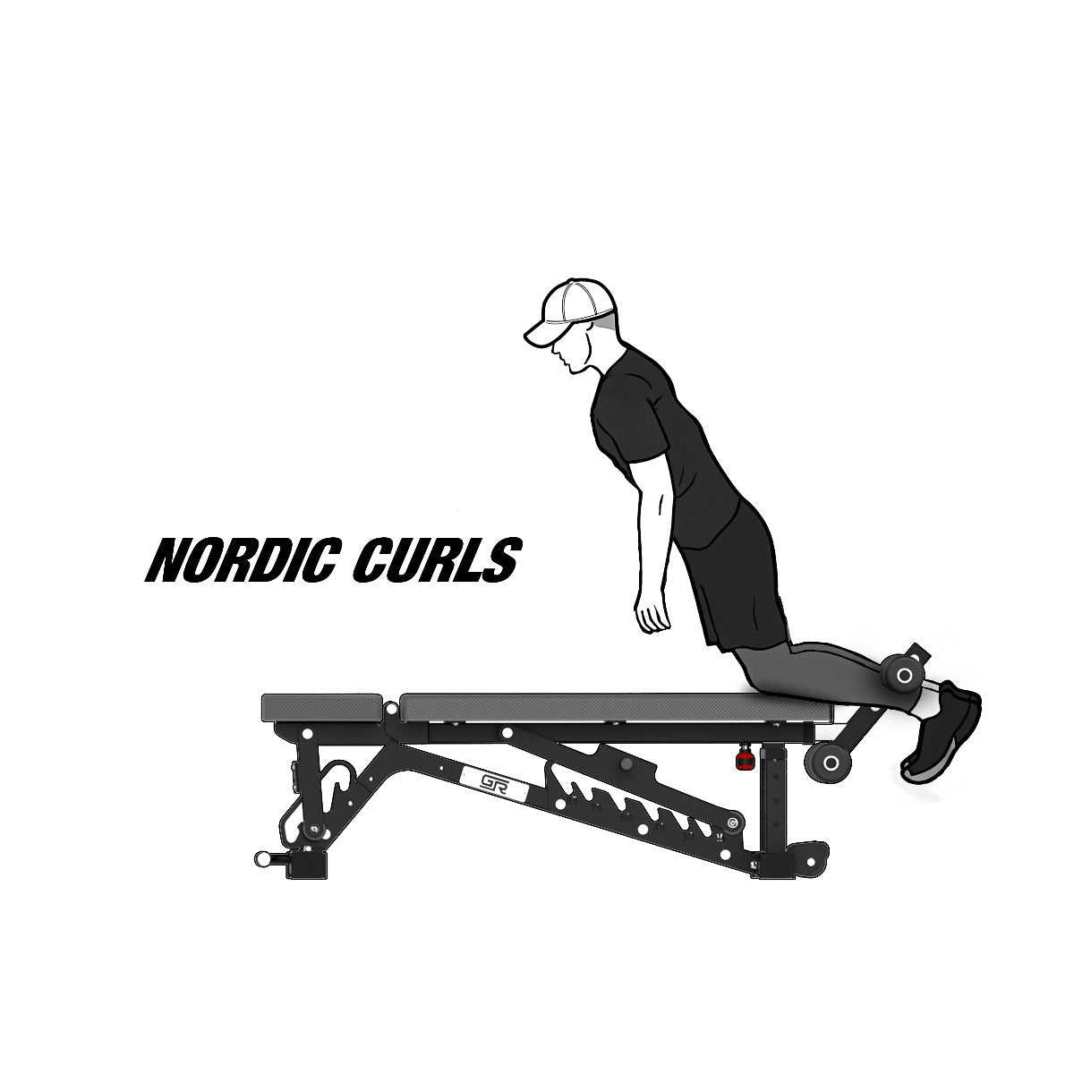 FIDAB-2 Adjustable Bench