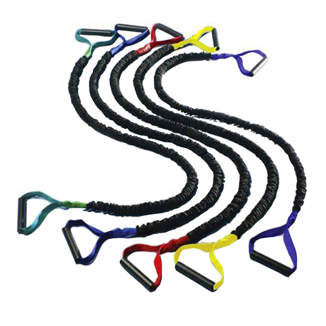 Sculptor Bands