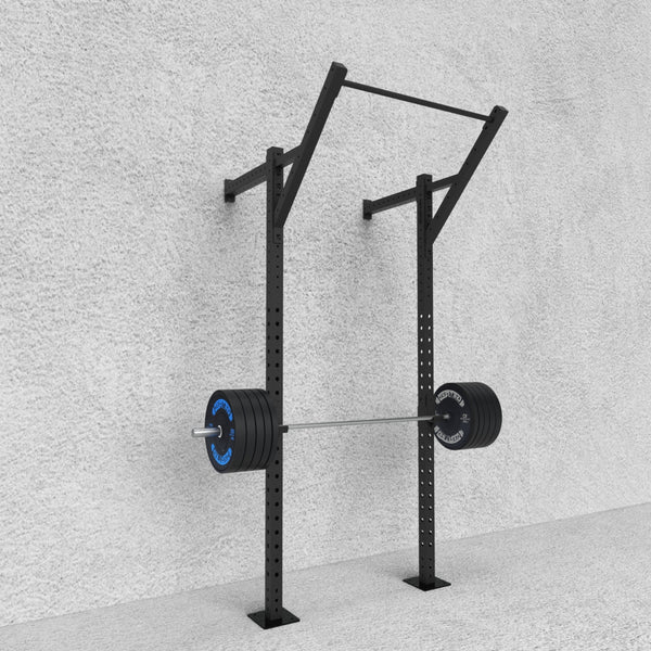 Wall-Mounted Pull-Up Rigs